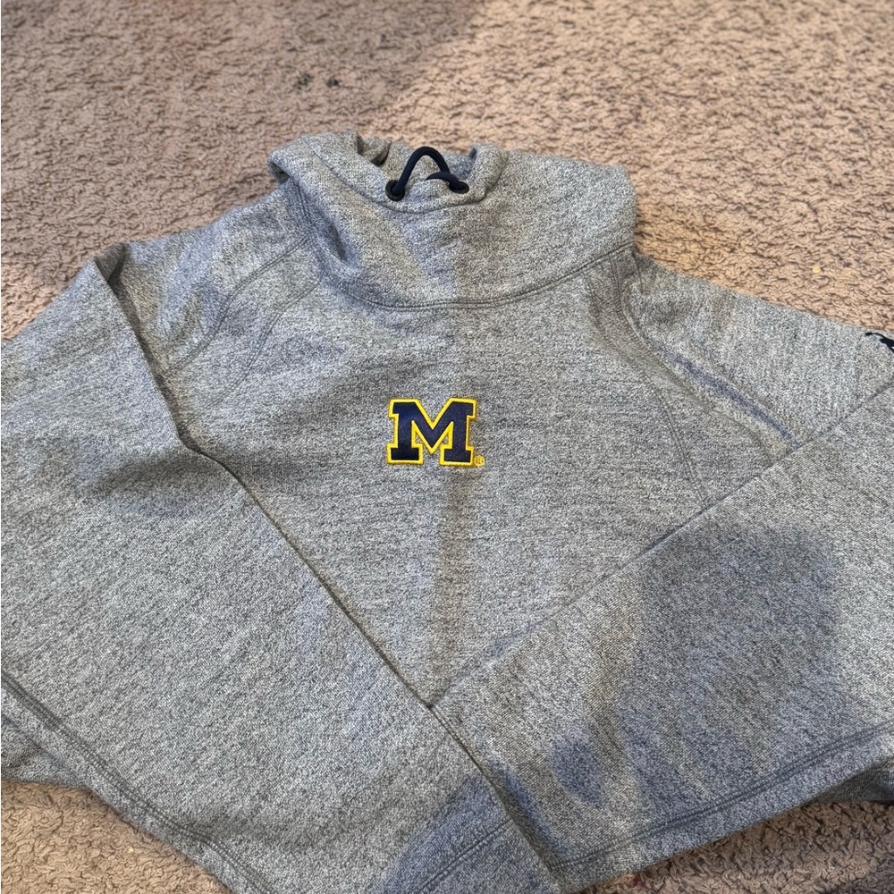 Air Jordan Michigan Grey Hoodie